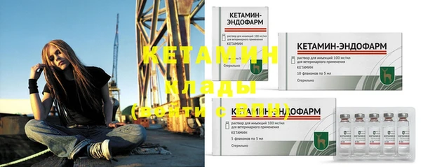 стаф Аркадак