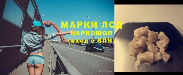 стаф Аркадак