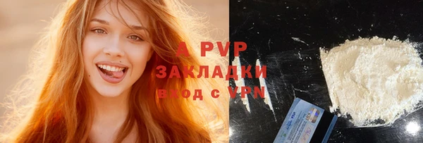 стаф Аркадак