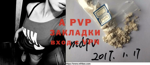 стаф Аркадак