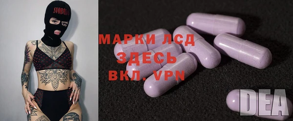 шишки Арсеньев