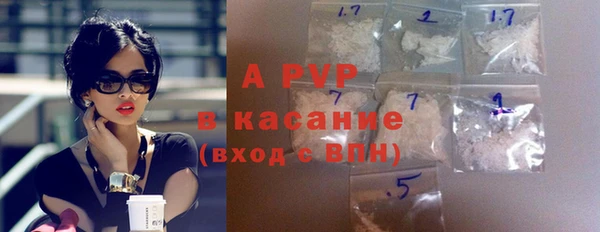 шишки Арсеньев
