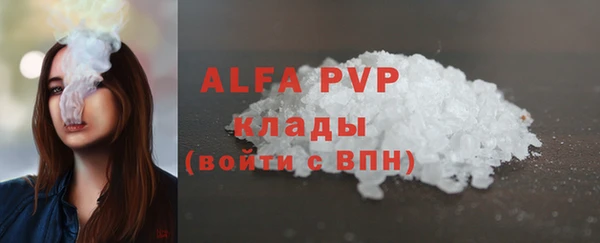 стаф Аркадак