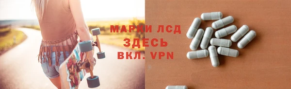 шишки Арсеньев