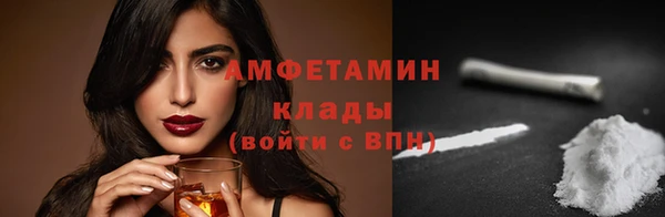 шишки Арсеньев