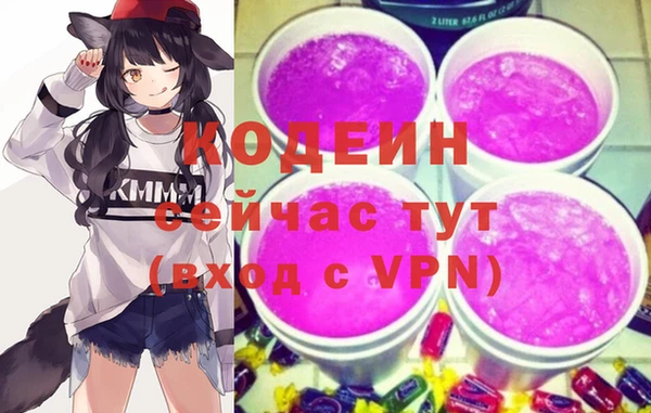 шишки Арсеньев