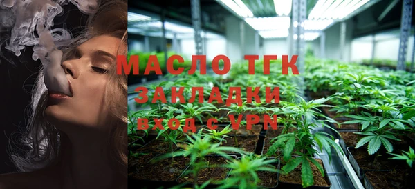 шишки Арсеньев