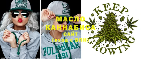 стаф Аркадак