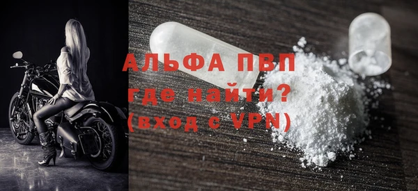 стаф Аркадак