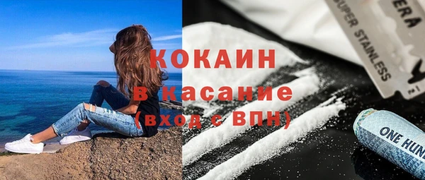 шишки Арсеньев