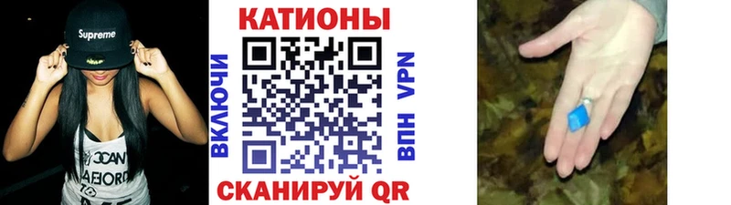 МЯУ-МЯУ 4 MMC  darknet формула  Гвардейск 
