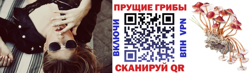 Галлюциногенные грибы ЛСД  цены наркотик  Гвардейск 
