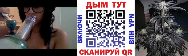 закладка  Гвардейск  МАРИХУАНА Ganja 